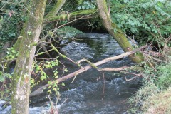 17.-Downstream-from-Greenham-Weir