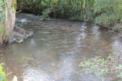 18.-Upstream-from-Greenham-Bridge