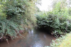 19.-Upstream-from-Greenham-Bridge