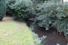 20.-Upstream-from-Greenham-Bridge