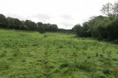 35.-Tone-Valley-between-Tracebridge-and-Greenham