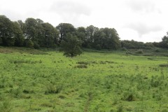 36.-Tone-Valley-between-Tracebridge-and-Greenham