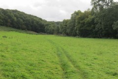 37.-Tone-Valley-between-Tracebridge-and-Greenham