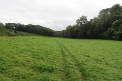 38.-Tone-Valley-between-Tracebridge-and-Greenham