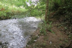 9.-Downstream-from-Tracebridge-1