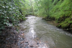 9.-Downstream-from-Tracebridge-4