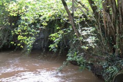 D8. Greenham to Lutley Bridge