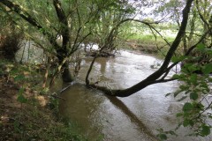 IMG_1766