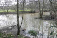Dodham Brook