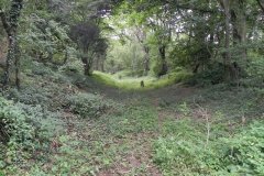 15.-S-and-D-Canal-bed-east-of-Murtry-Bridge