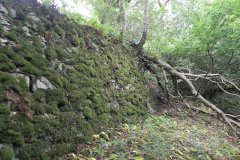 16.-S-and-D-Canal-bed-retaining-wall-east-of-Murtry-Bridge