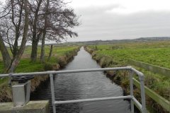 5.-Drain-on-Kings-Sedgemoor-West-of-Greylake-Bridge