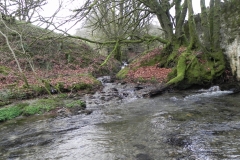 37. Bale Water tributary of River barle