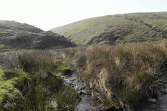 51. Looking up Drybridge Combe