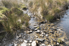 52. Waters joining from  Drybridge Combe