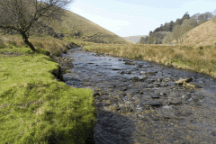 53. Flowing past Cornham Brake