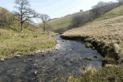 54. Flowing past Cornham Brake