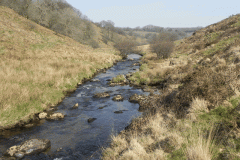 55. Flowing past Cornham Brake