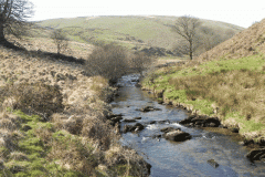 56. Flowing past Cornham Brake