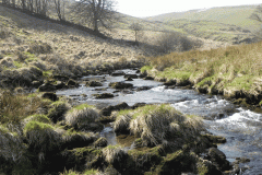 57. Flowing past Cornham Brake