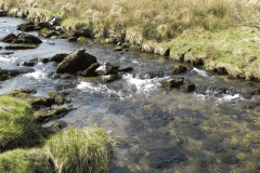59. Flowing past Cornham Brake