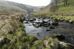 60. Flowing past Cornham Brake