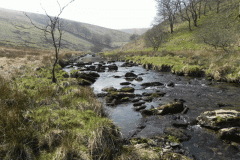 61. Flowing past Cornham Brake