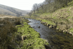 62. Flowing past Cornham Brake