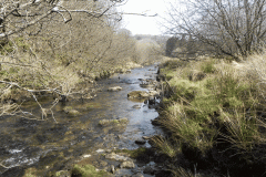 63. Flowing past Cornham Brake