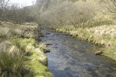 64. Flowing past Cornham Brake