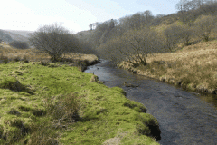 65. Flowing past Cornham Brake