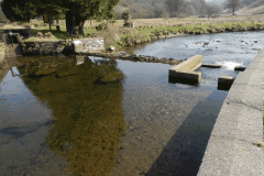 68. Weir for Saw Mill leat