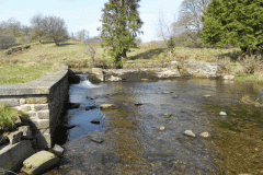 70. Weir and Fish Pass