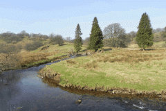 72. Looking upstream to Saw Mill Weir