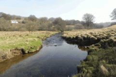 73. Downstream from Saw Mill Weir