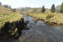 75. Downstream from Saw Mill Weir