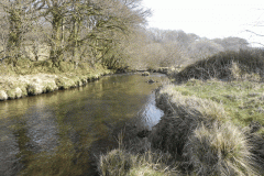 76. Downstream from Saw Mill Weir