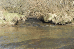 77. Bale Water joins River Barle