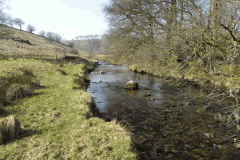 79. Downstream from Bale Water join