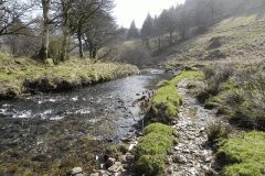 80. Upstream from Simonsbath Bridge