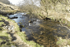 83. Upstream from Simonsbath Bridge