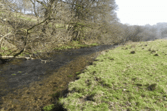 84. Upstream from Simonsbath Bridge