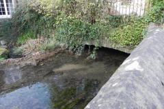 33.-Emerges-in-front-of-Dulverton-Laundry