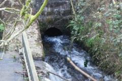 38.-Outflow-to-River-Barle_640x480
