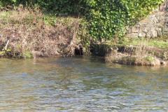 40.-Rejoins-River-Barle_640x480