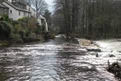 Dulverton Mill Stream 