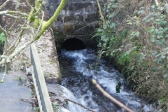 38. Outflow to River Barle_640x480