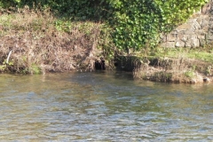 40. Rejoins River Barle_640x480