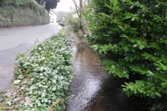 6. Looking downstream from sluice