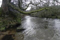 Dulverton to Brushford